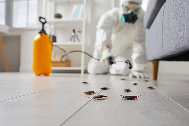 Commercial Kitchen Cockroach Control in Gadsden